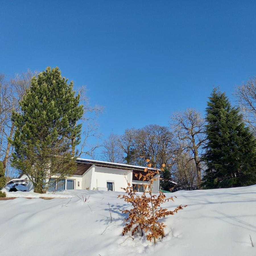 Adbs Ferienhaus Winterberg Zewnętrze zdjęcie