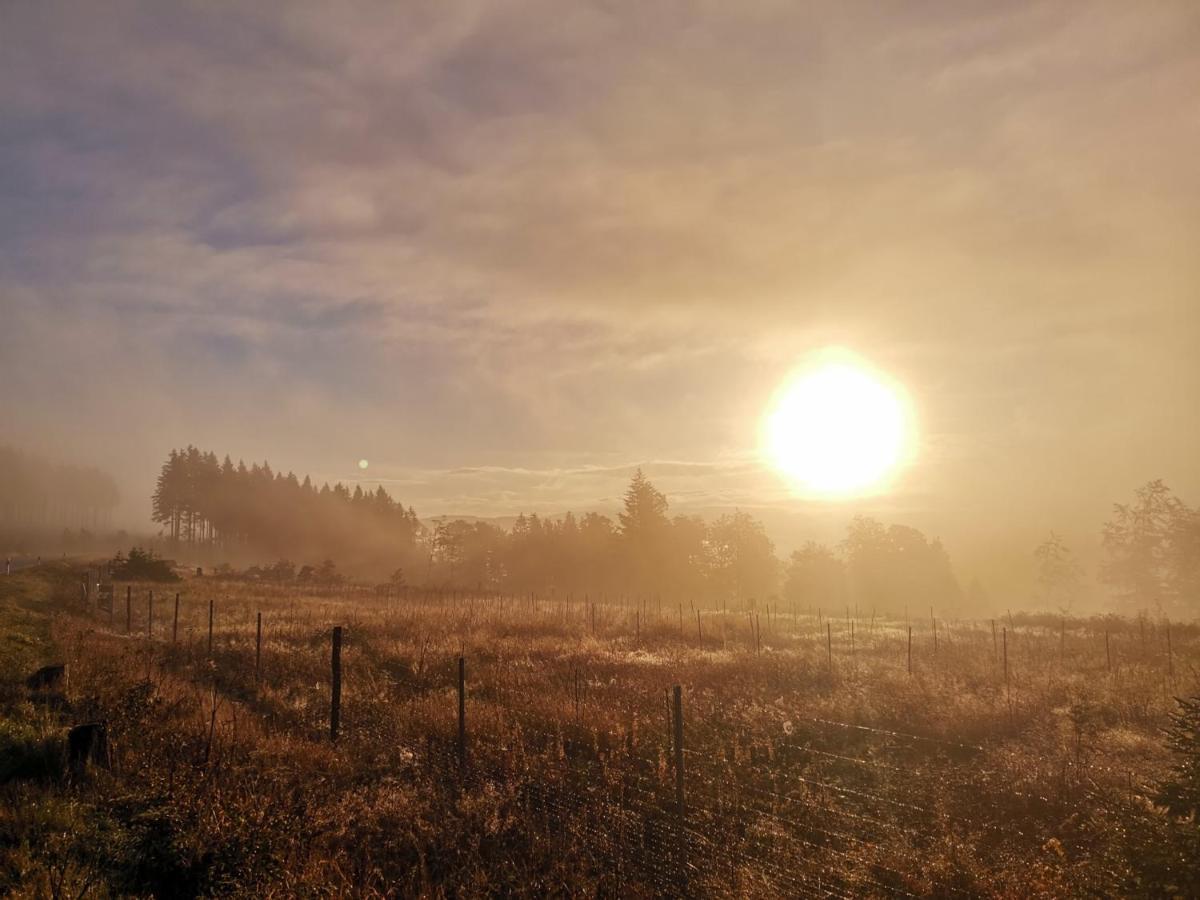 Adbs Ferienhaus Winterberg Zewnętrze zdjęcie
